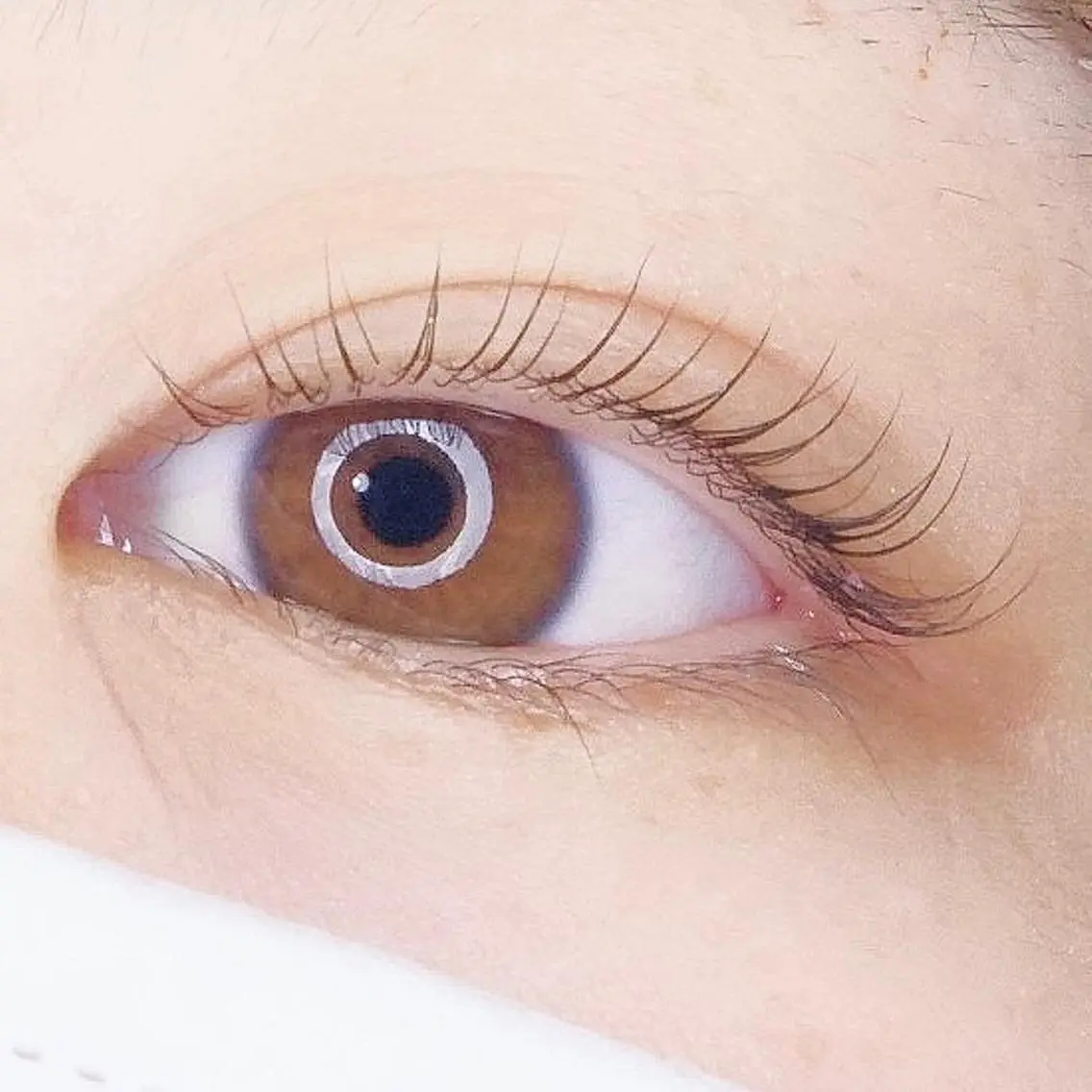 ♥️トリートメント付まつ毛パーマ♥️の写真