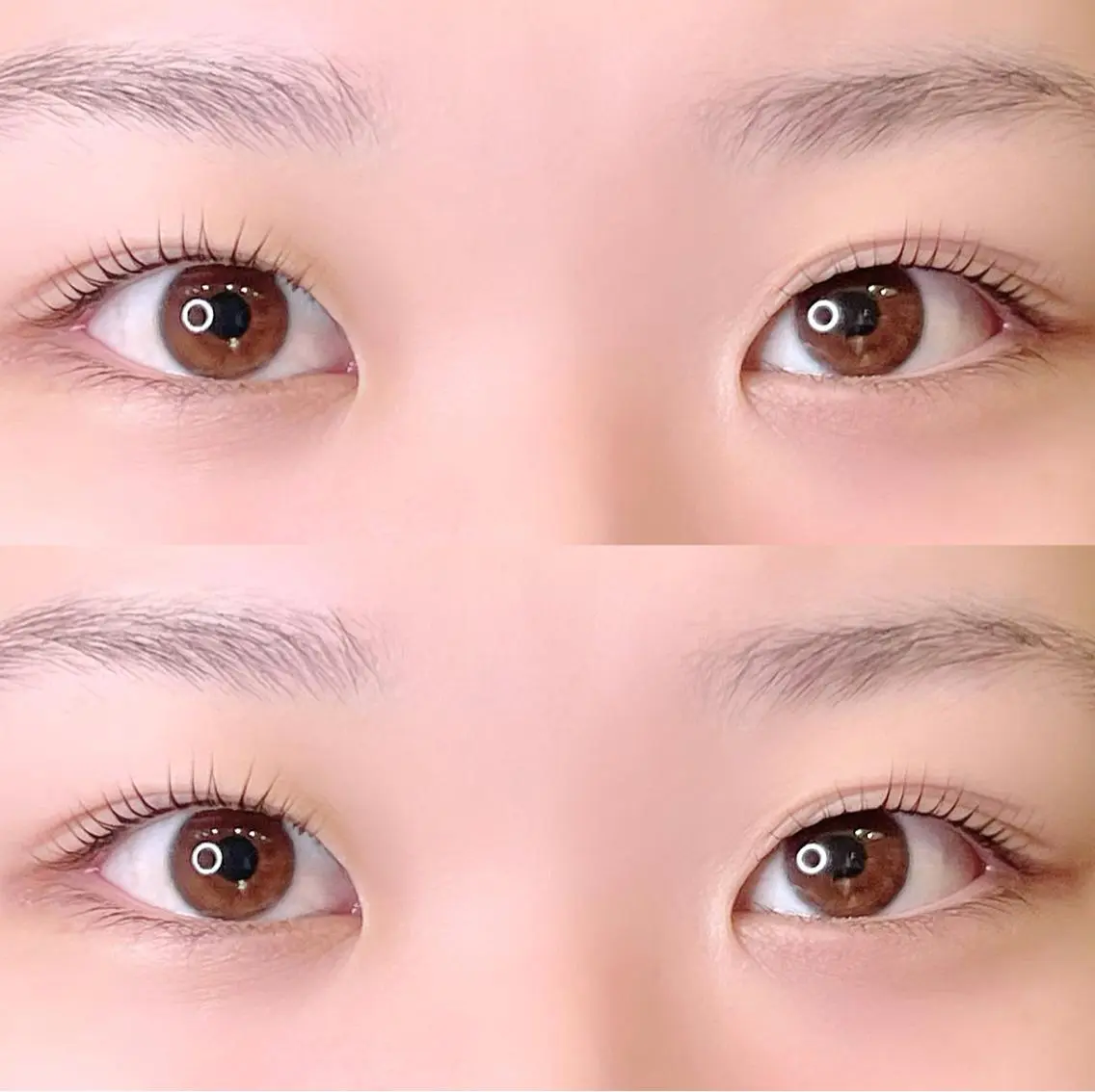 マツエク・マツパ パリジェンヌラッシュリフト 一重×まつ毛パーマ 🦋Miu:Be田町 まつパ:マツエク🦋のマツエク・マツパデザイン
