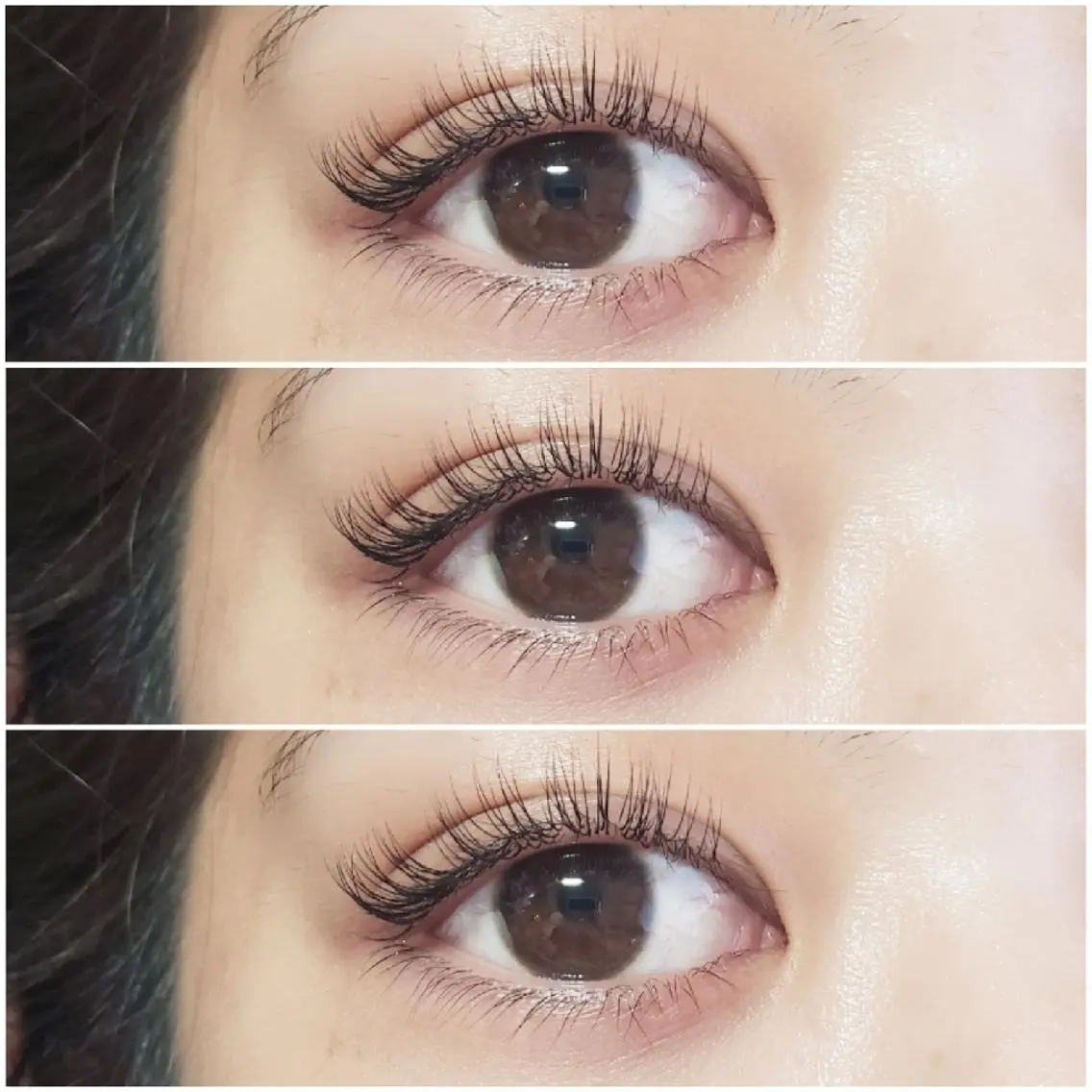 マツエク・マツパ 付け放題 セーブル SAKI　 eyelashのマツエク・マツパデザイン