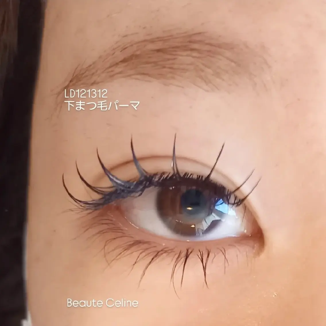 マツエク・マツパ Dカール 下まつげエクステ 一重×まつ毛パーマ マツパ LED✨beaute Celine🌛🌹のマツエク・マツパデザイン