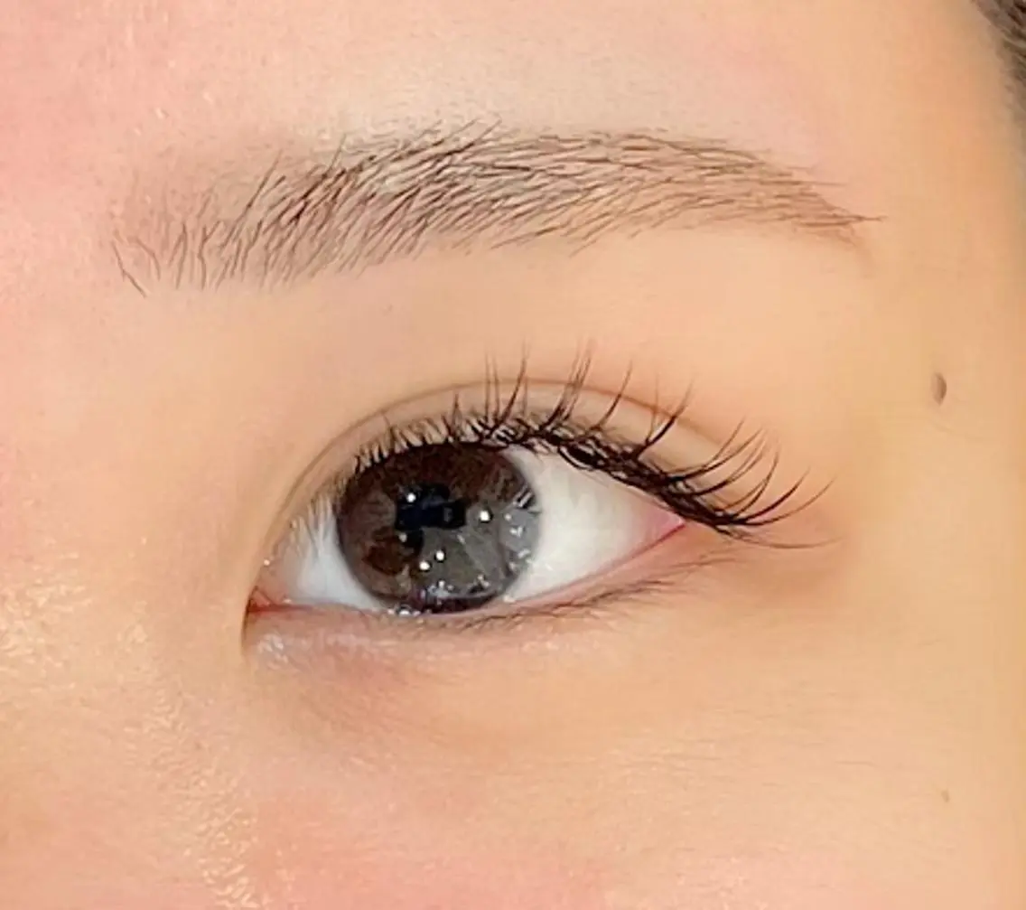 新規🌹黄金比美眉スタイリング 毛量調整込wax＋アイブロウメイク付🌹の写真