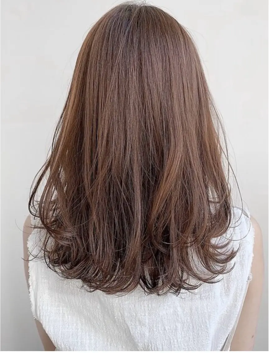 セミロング レイヤーカット 臺 佳連のヘアスタイル