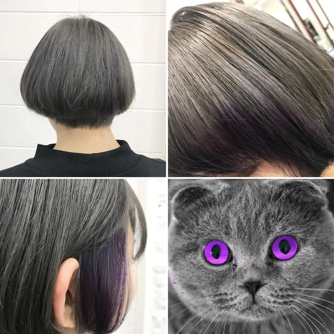 ショート カラー アッシュ アッシュグレー アッシュグレージュ ブリーチ デザインカラー ヘアカラー トリートメント ✨️眉毛、派手髪、 ハイトーンShinの眉毛・アイブロウイメージ
