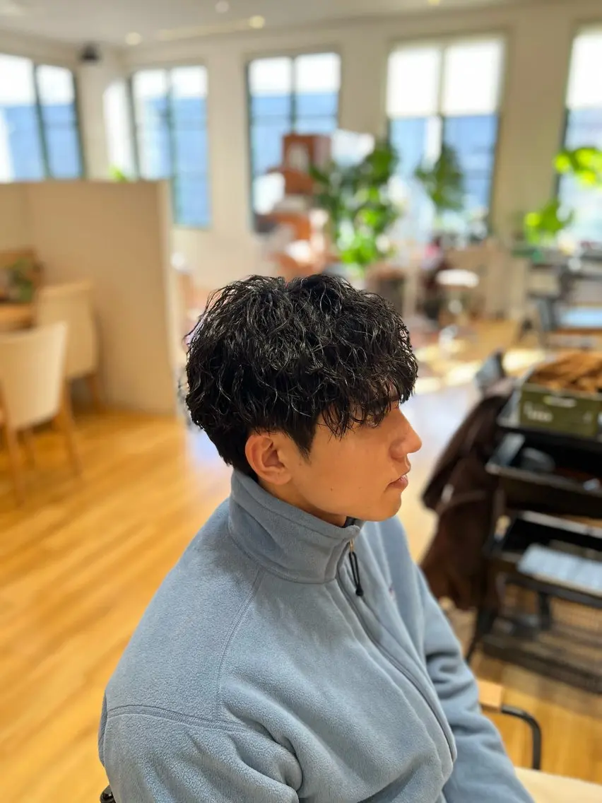 パーマ メンズ カット パーマ 瀬野凌介/メンズ カット/パーマのヘアスタイル