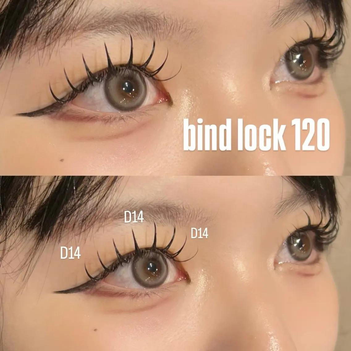 🧸【バインドロックorダブルフラットラッシュ120束 （240本）】🧸もちの良さ＆濃さバツグン!!❤️‍🔥の写真
