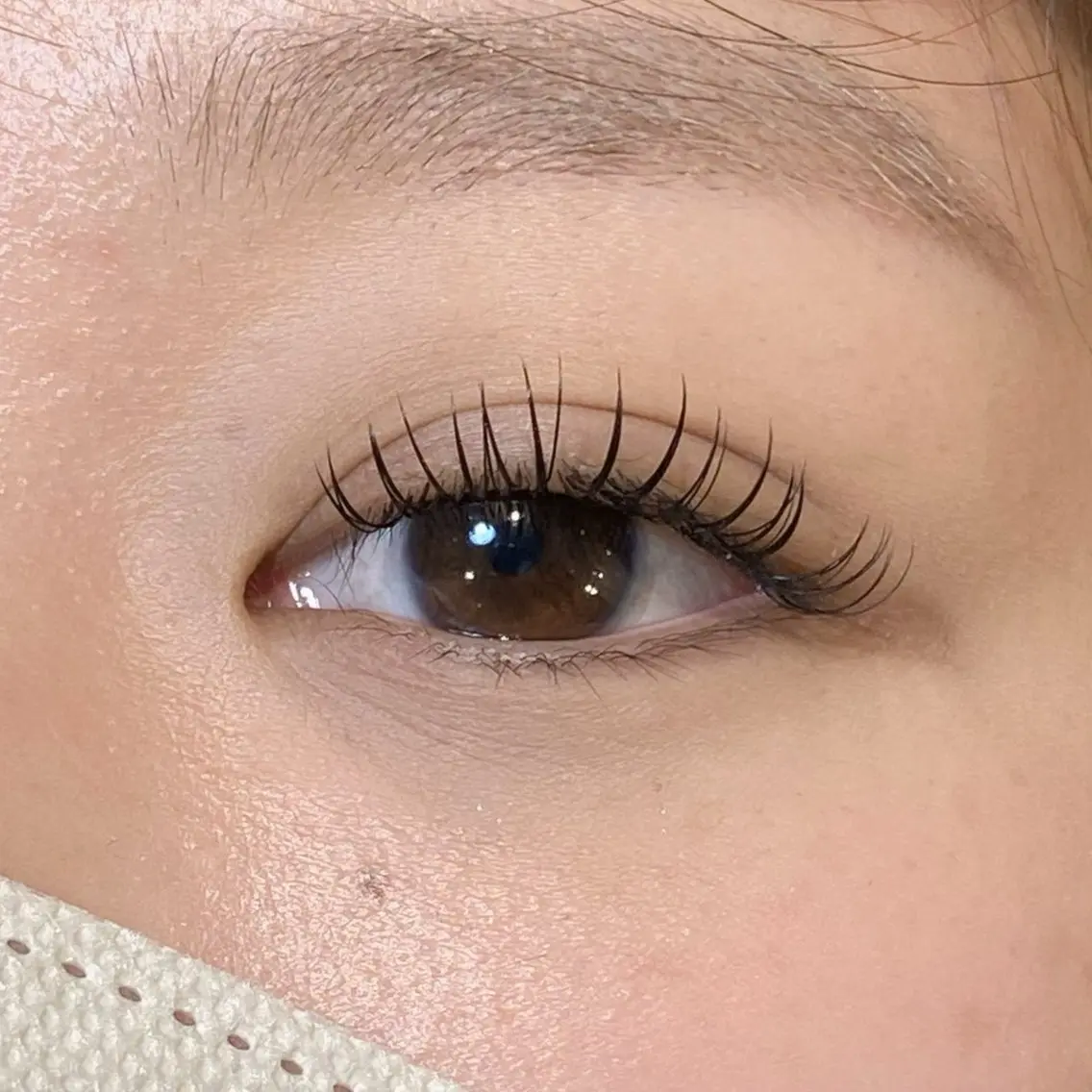 🫧パーフェクトラッシュ80束🫧の写真