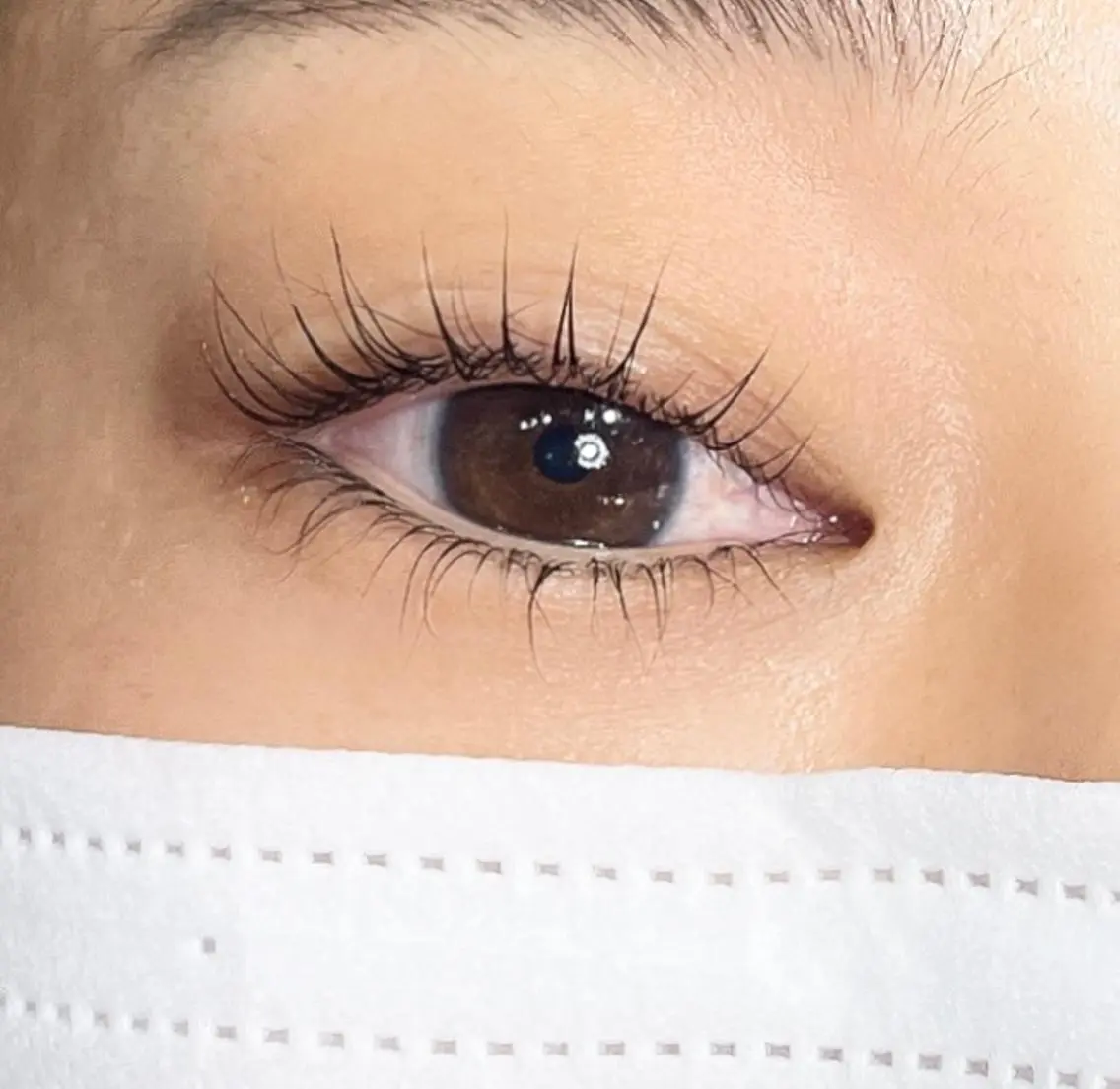 高持続まつ毛上下ラッシュリフトの写真