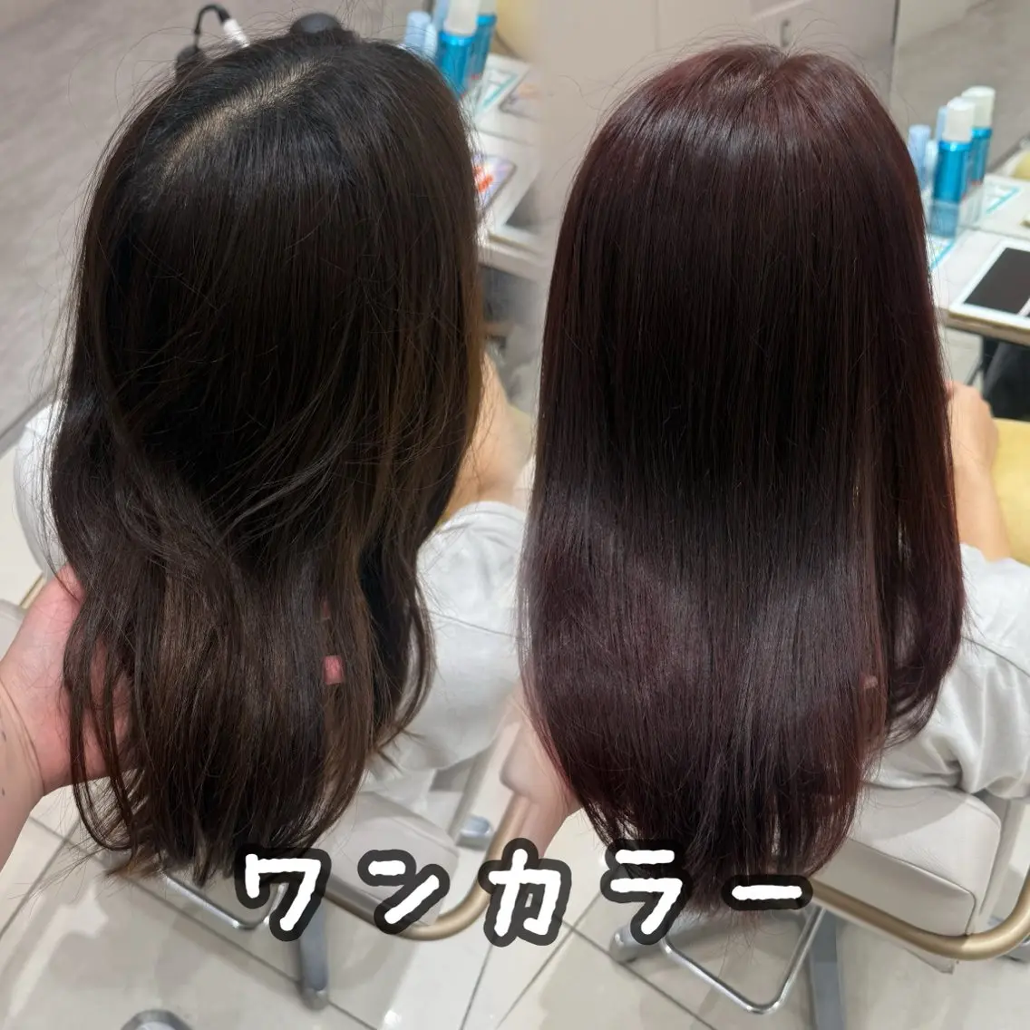 セミロング カラー ヘアカラー トリートメント 内田 志乃のヘアスタイル