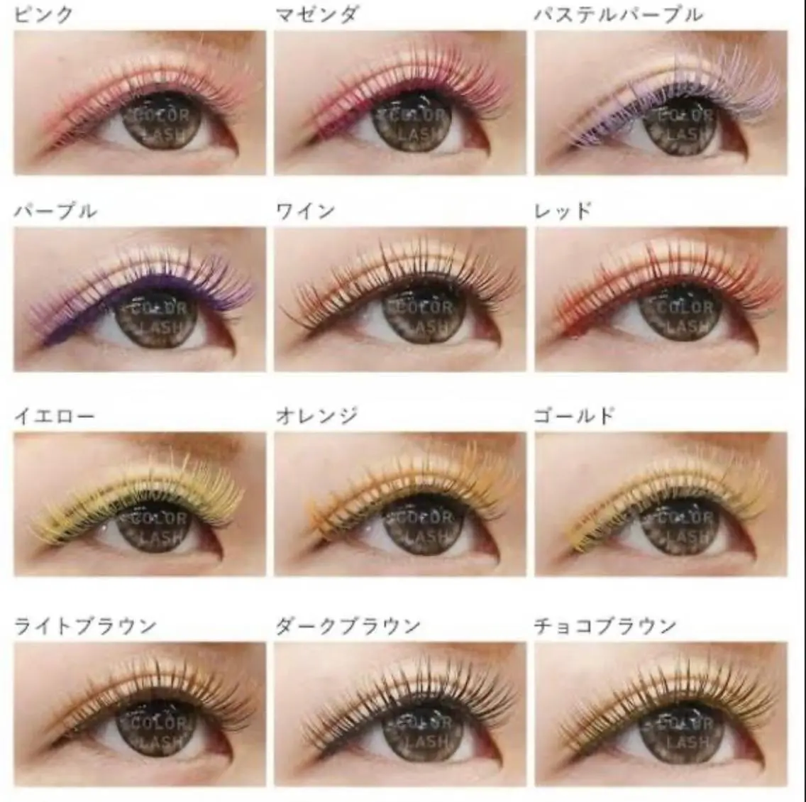 LEDブラックボリュームラッシュ100束カラーもOK💕セレブの目元になれる^_^の写真