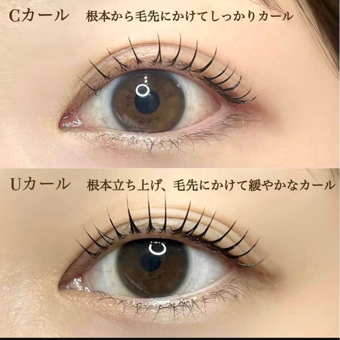 次世代まつげパーマの写真
