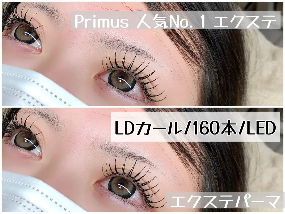 フラットラッシュ/１２０本の写真