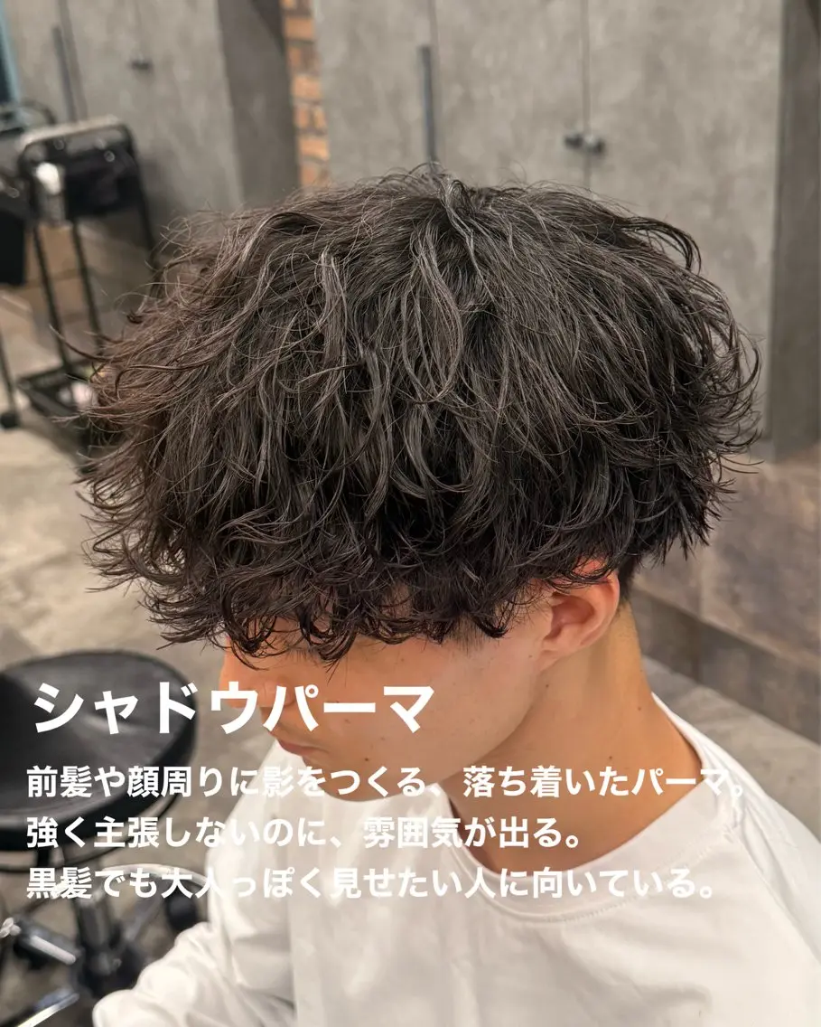 パーマ メンズ カット パーマ シャドウ/フェザー 朝崎倭斗のヘアスタイル