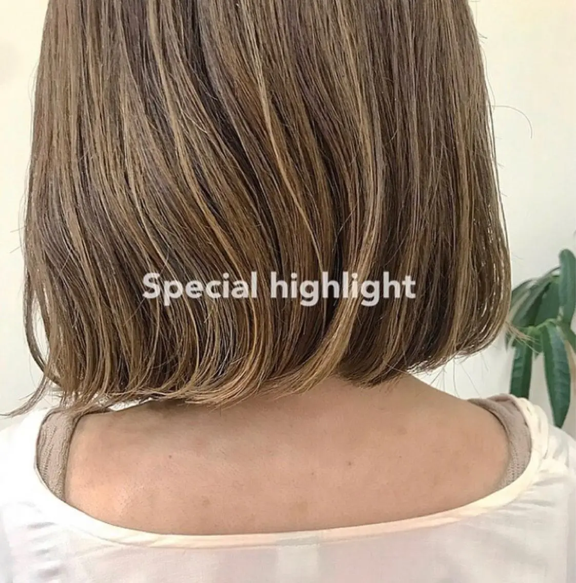 🐬カット+透明感ハイライトカラー+2Stepトリートメント🐬の写真