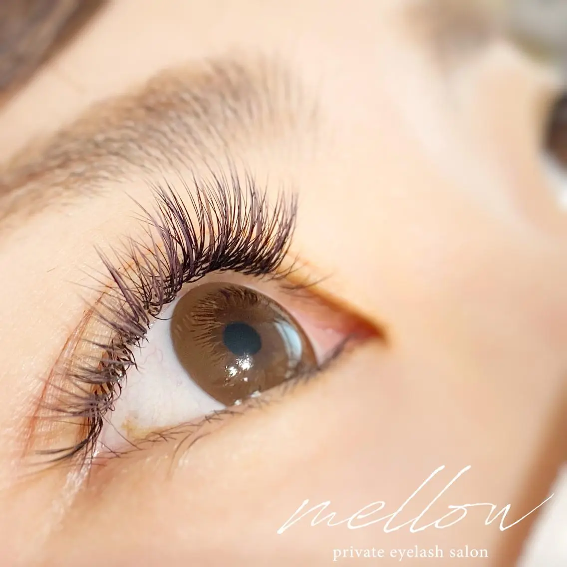 マツエク・マツパ フラットラッシュ ボリュームラッシュ mellow eyelashのマツエク・マツパデザイン