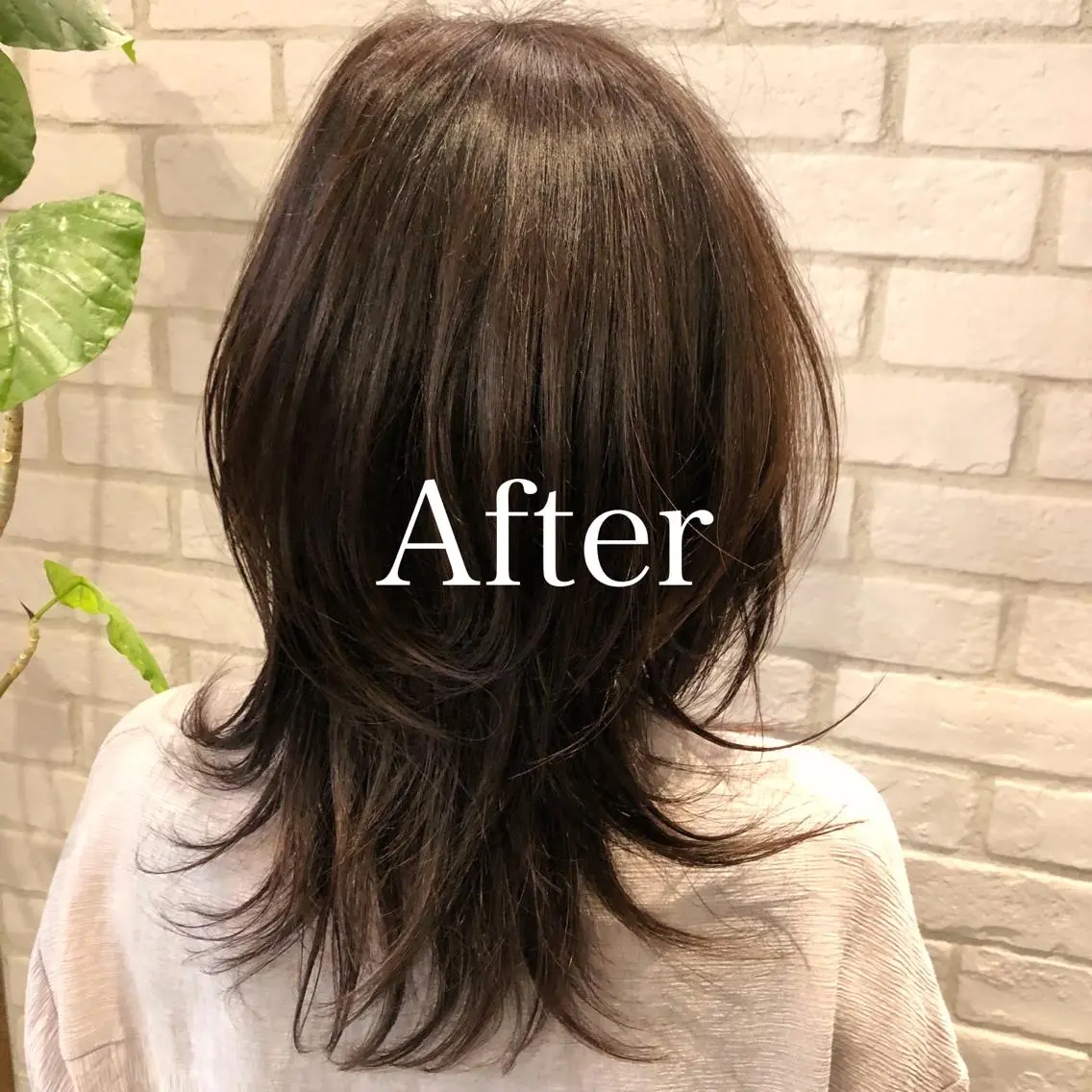 ミディアム カラー バイオレットカラー レディースヘア💫 加藤たいが🐯のヘアスタイル