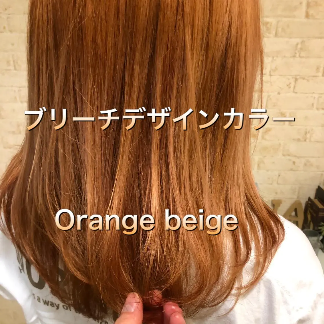 セミロング カラー ベージュカラー ブリーチ ダブルカラー グレージュ ミルクティーベージュ 髪質改善美容師 個室サロン白金厚哉のヘアスタイル