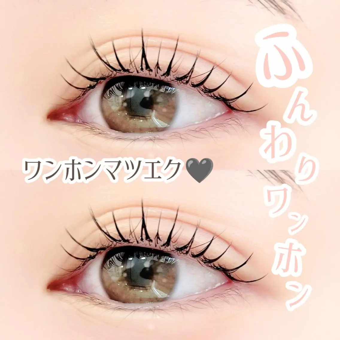 【中華風束感まつげ🌸ワンホンマツエク】¥8800🌟束感弱めのふんわりワンホン👀(3Dボリュームラッシュ使用)の写真