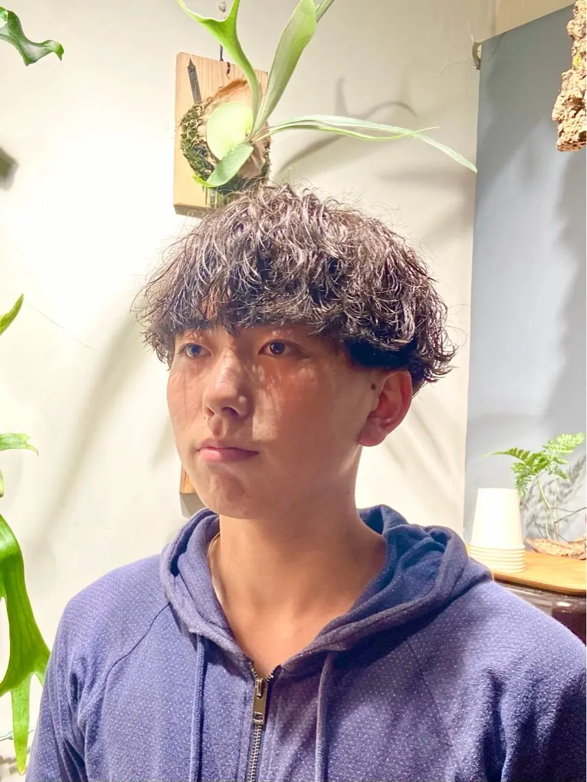 ショート 岡本 蓮太のヘアスタイル