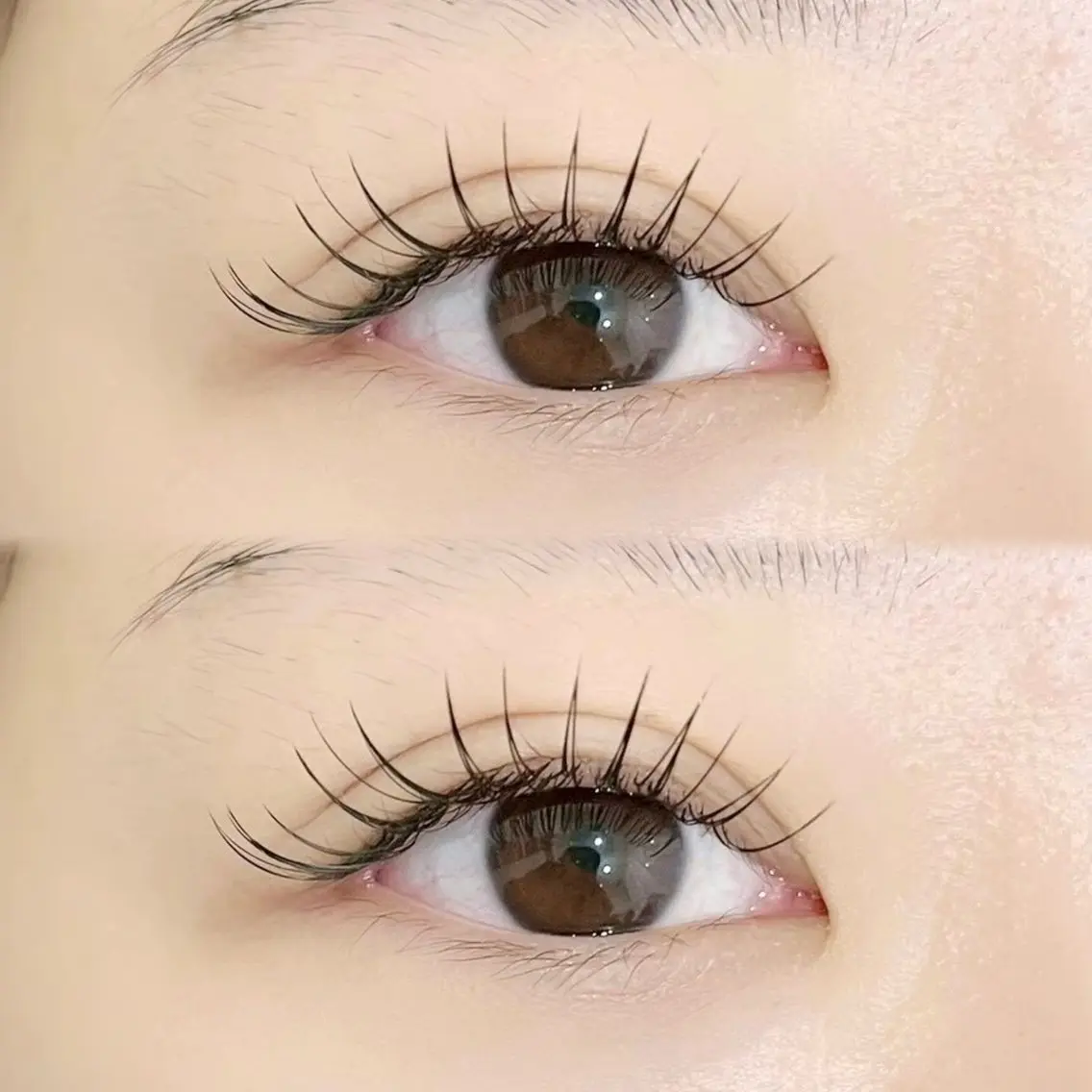 🎀マツエクモデル🎀100~120本前後［オフなし］の写真