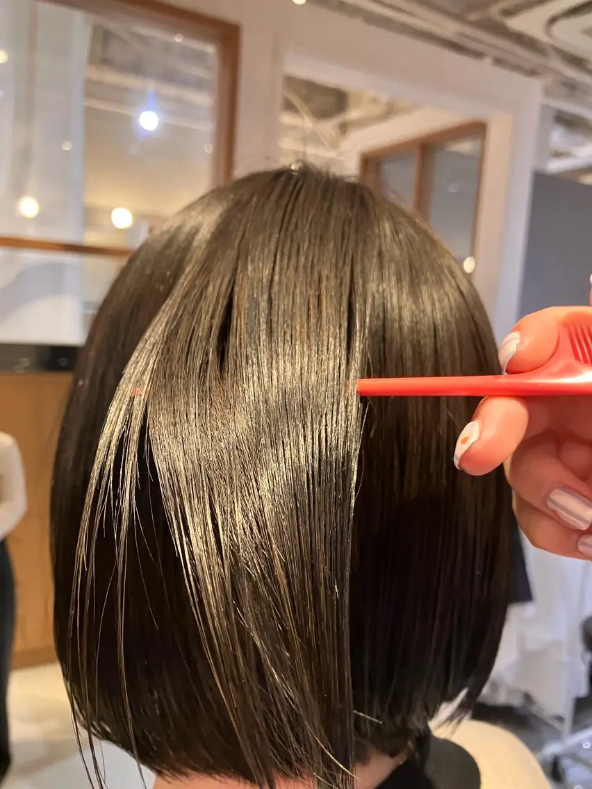 カラー 艶ストレート 口石 ひかるのヘアスタイル