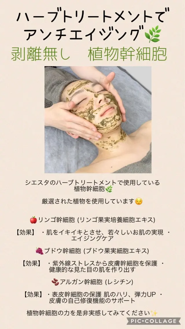 メンズ エステ ビューティーサロン シエスタのエステ・リラクイメージ