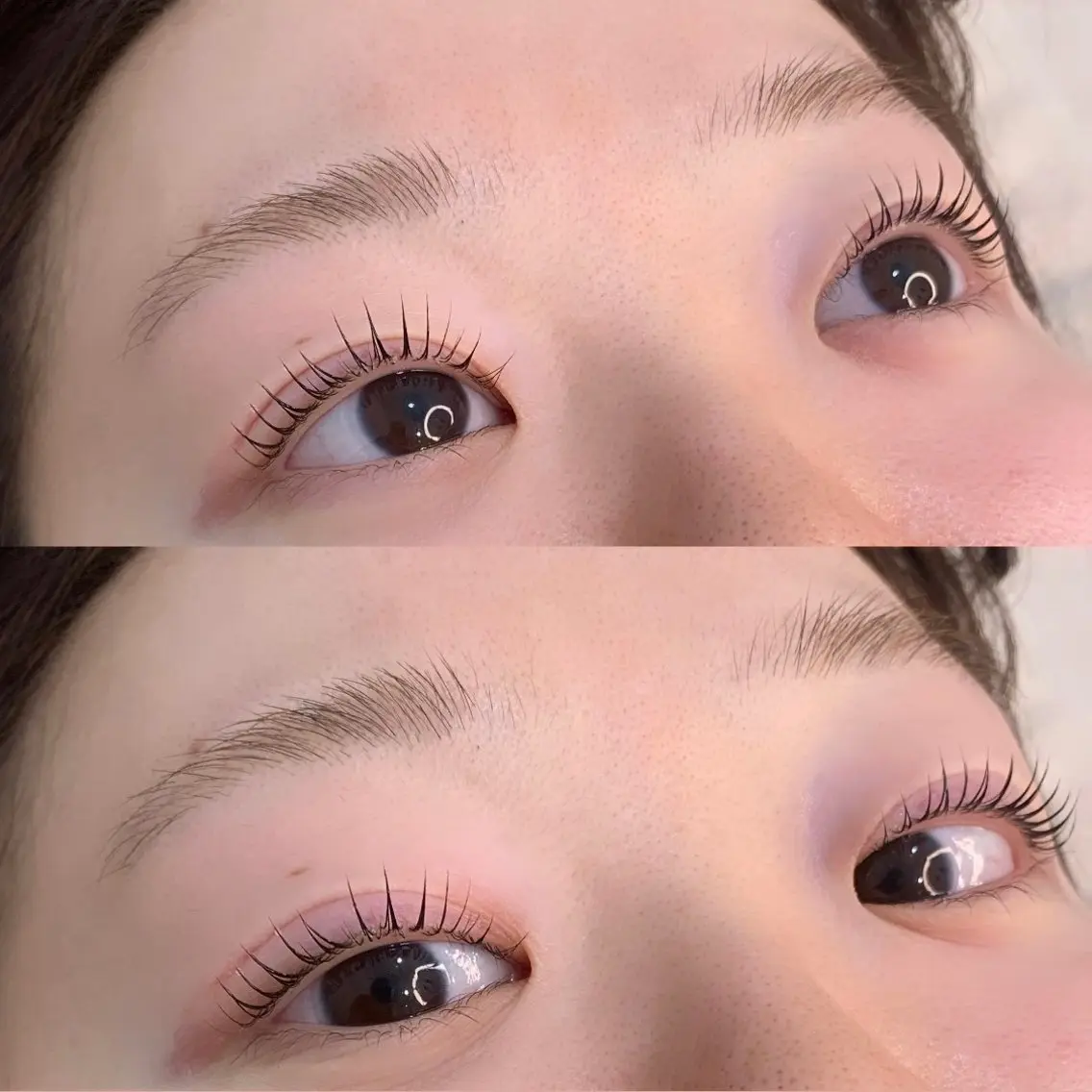 ⭐️ご新規様限定⭐️パリジェンヌorまつげパーマの写真