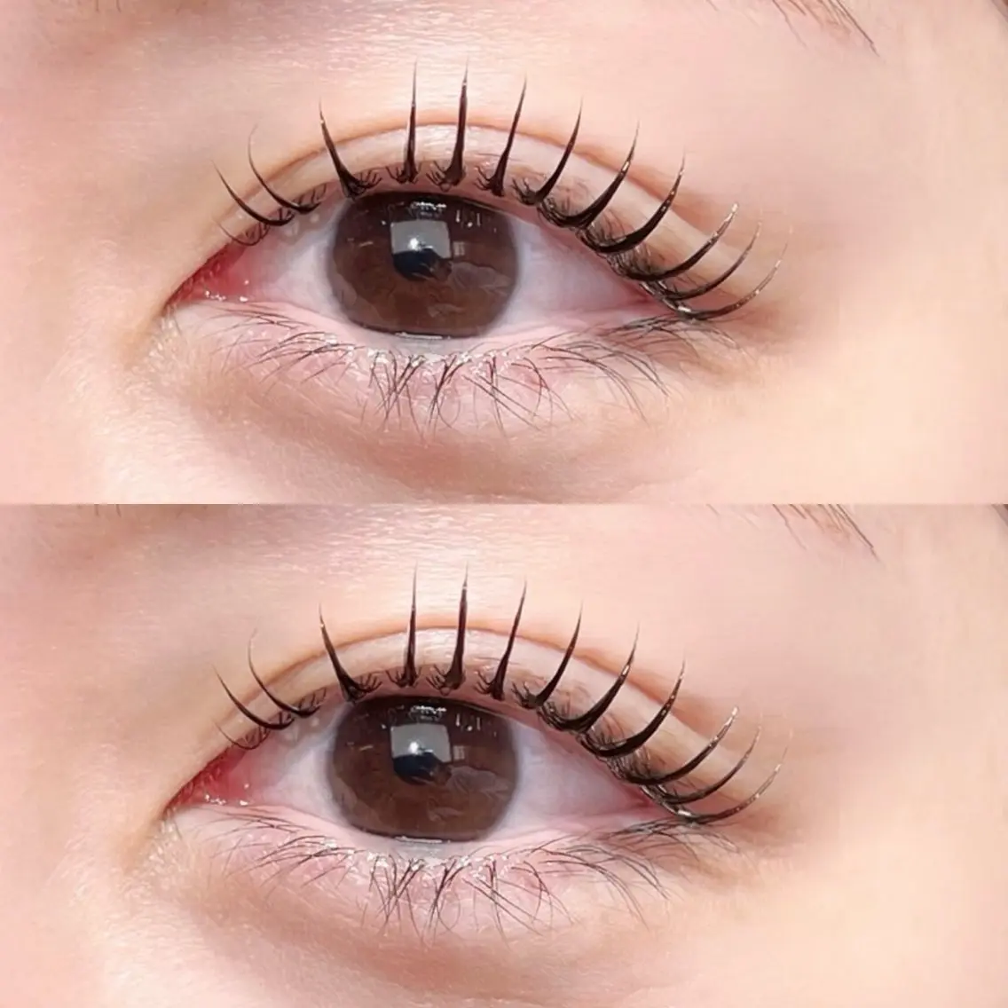 マツエク・マツパ Cカール 一重×まつ毛パーマ マツパ Lash A 🕊️のマツエク・マツパデザイン