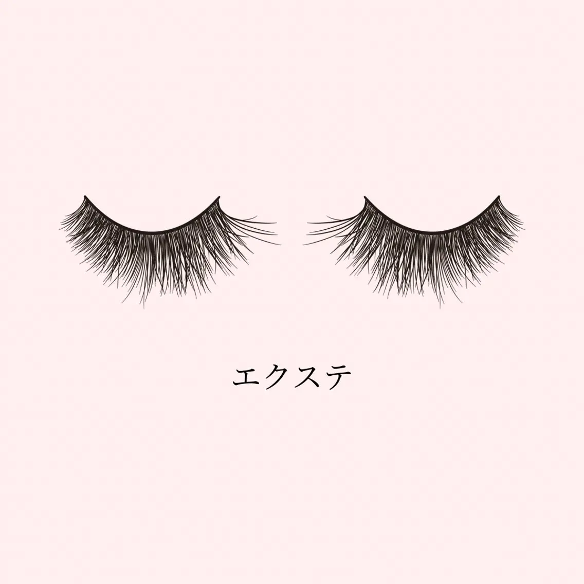 フラットラッシュ60本の写真