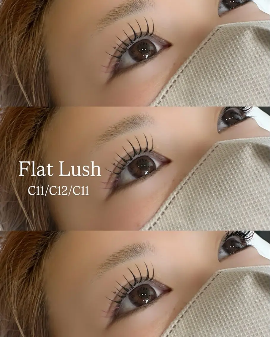 フラットラッシュ140本の写真