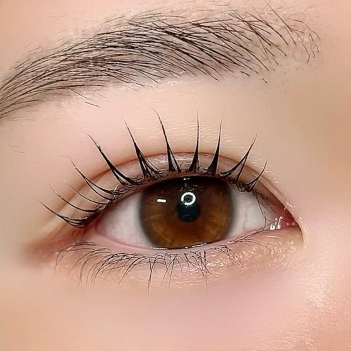 マツエク・マツパ Rediant 🌼 eyelashのマツエク・マツパデザイン