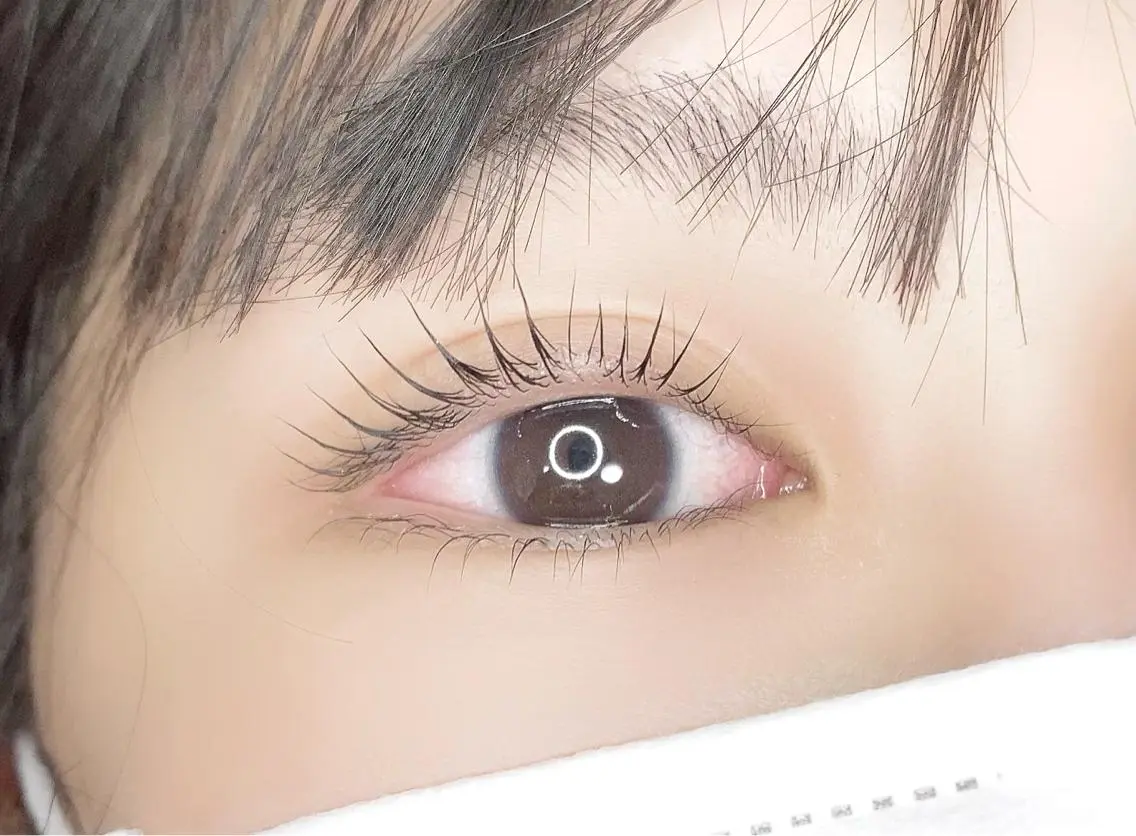 マツエク・マツパ eyelash "Koa"🕊🤎のマツエク・マツパデザイン