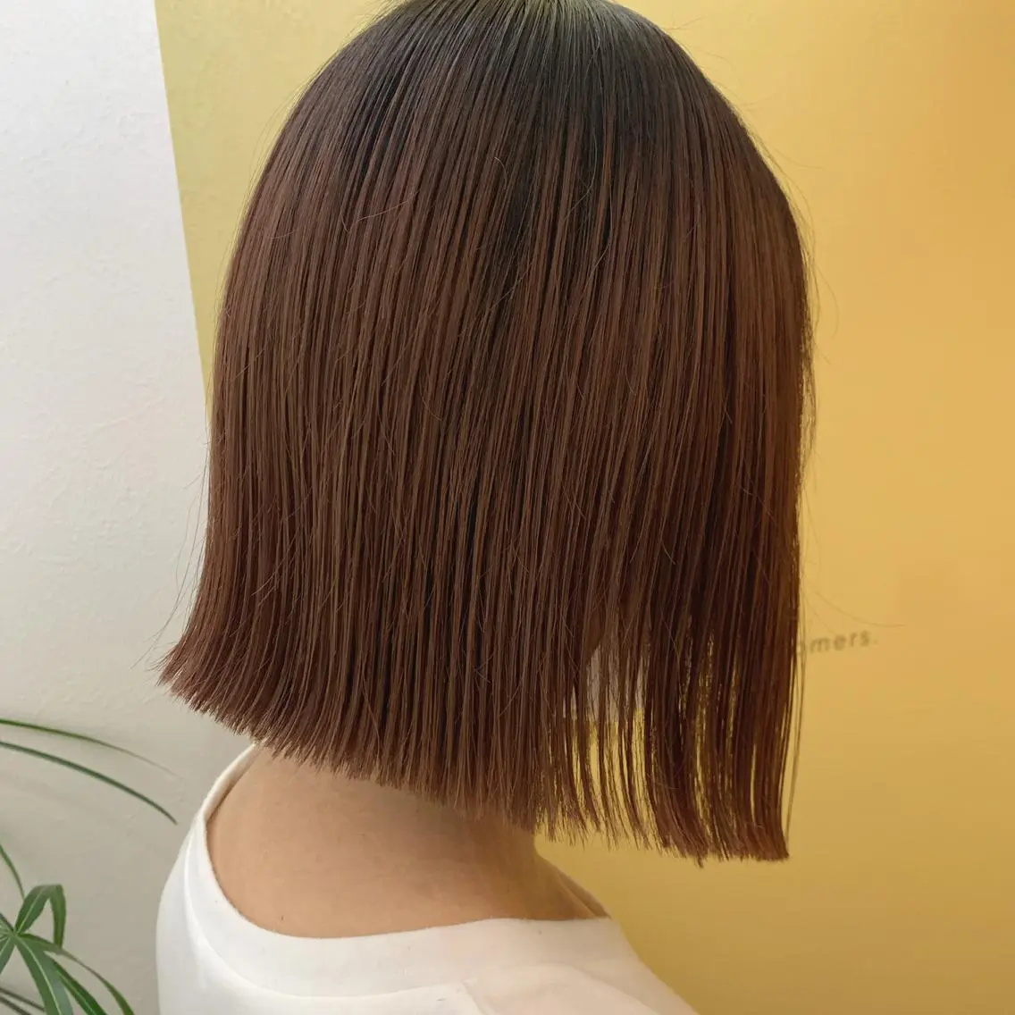 ショート カラー hubhair レイヤー/透明感のヘアスタイル