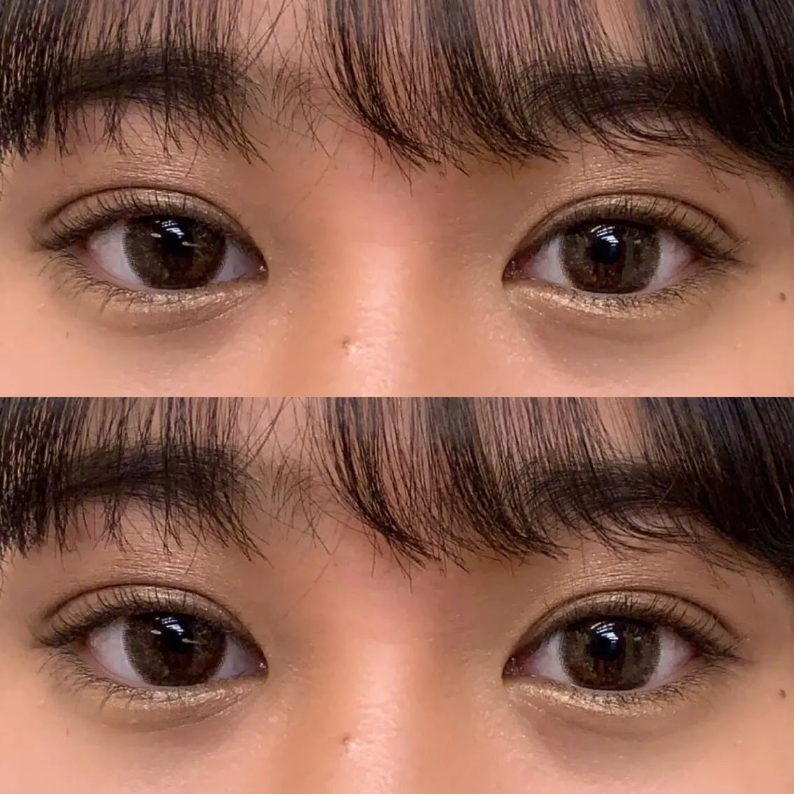 ラッシュリフト+まつ毛育毛の写真