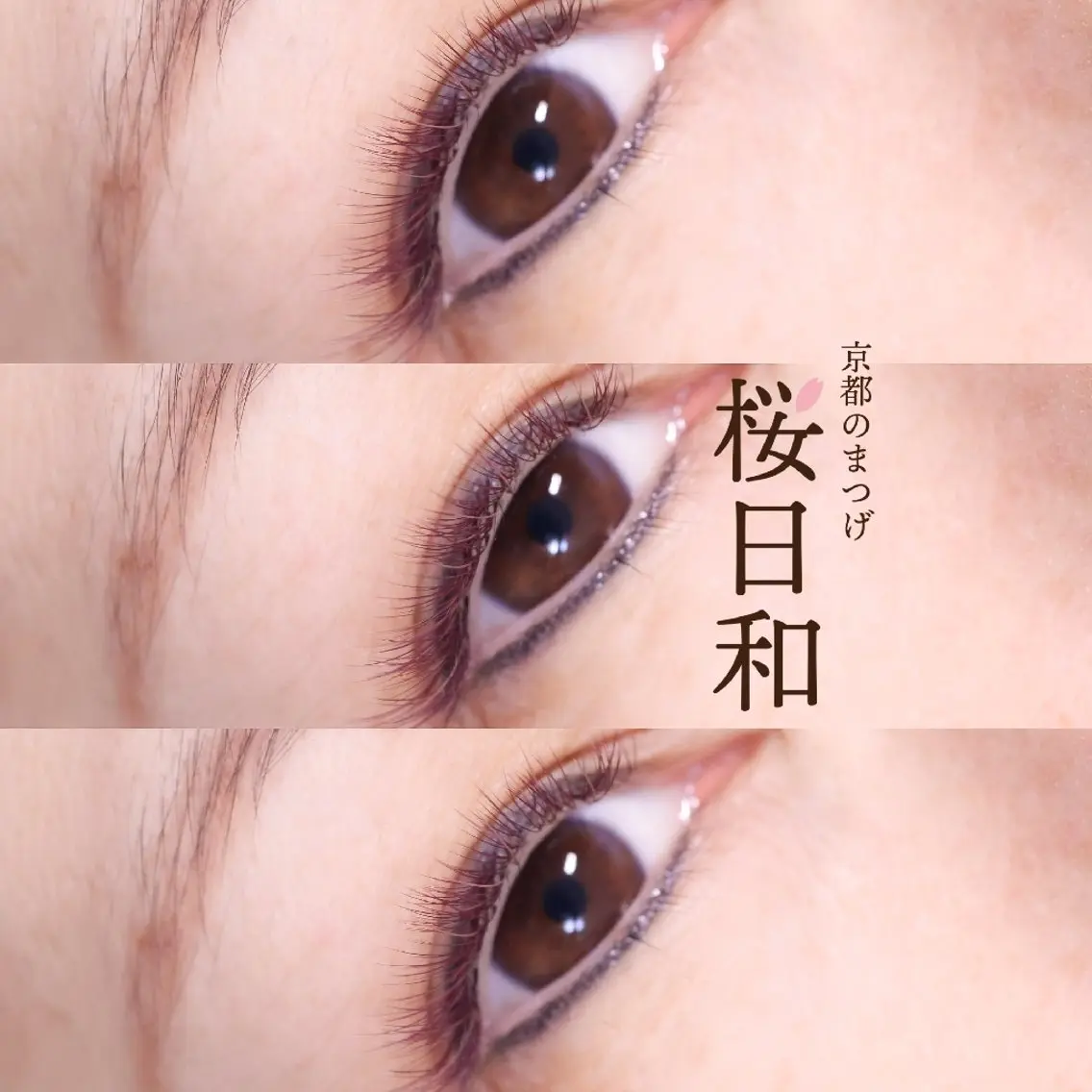 マツエク・マツパ カラーマツエク セクシー マツエク 京都のまつげ桜日和 小島美桜のマツエク・マツパデザイン