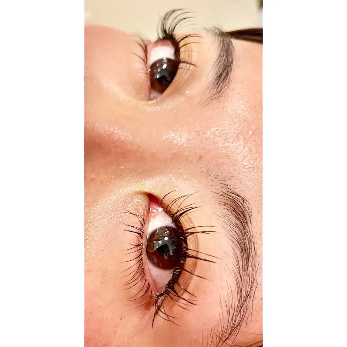 マツエク・マツパ マツエク eyelash GARDENのマツエク・マツパデザイン