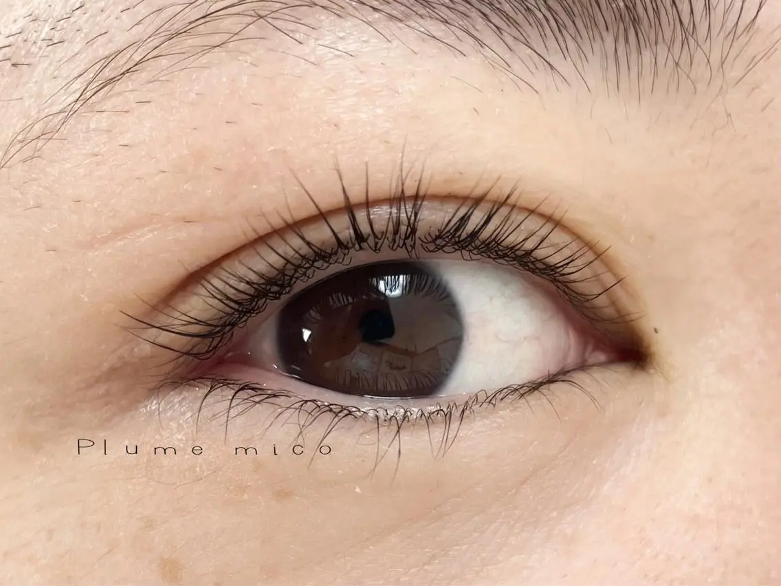 マツエク・マツパ マツパ Plume micoのマツエク・マツパデザイン