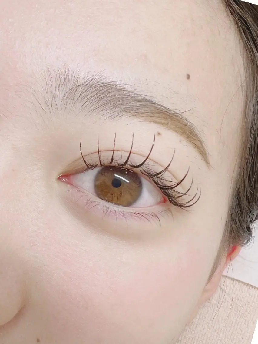 マツエク・マツパ フラットラッシュ Eyelash Hauoliの眉毛・アイブロウイメージ
