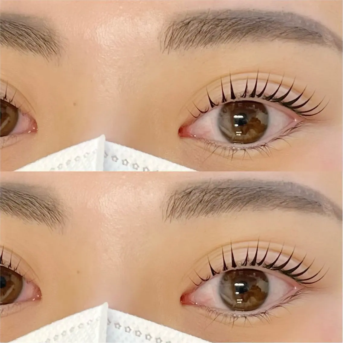 マツエク・マツパ パリジェンヌラッシュリフト まつげパーマ Y.eyelash 赤羽/志茂のマツエク・マツパデザイン