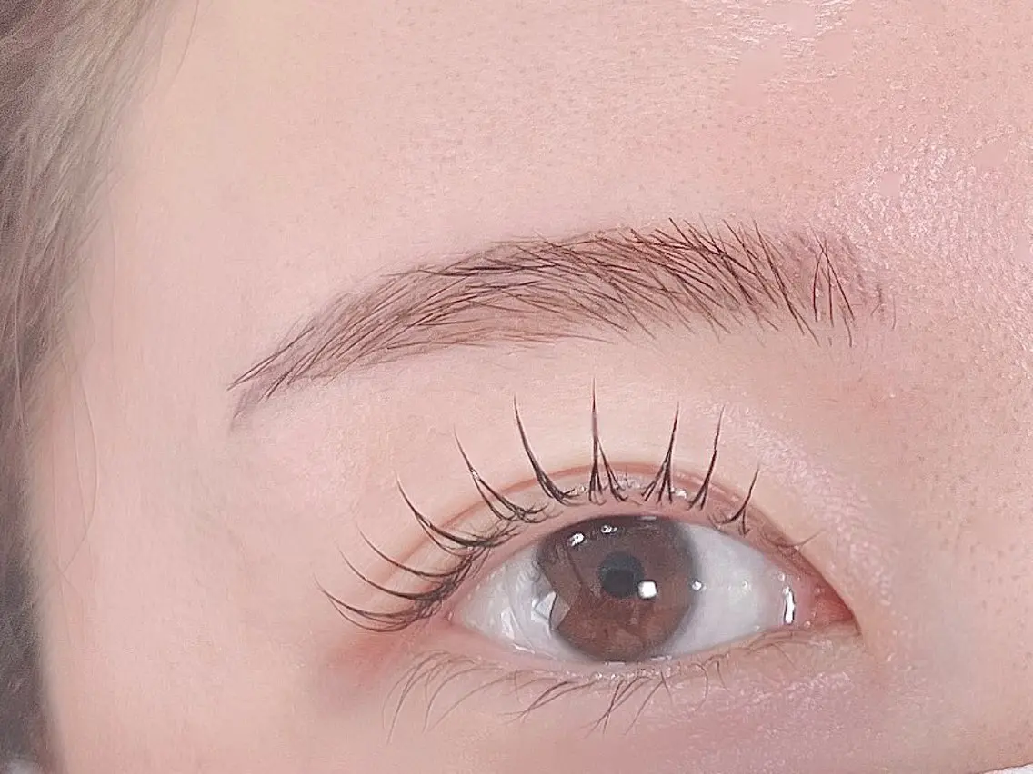 マツエク・マツパ マツパ Chipi Eyelashの眉毛・アイブロウイメージ