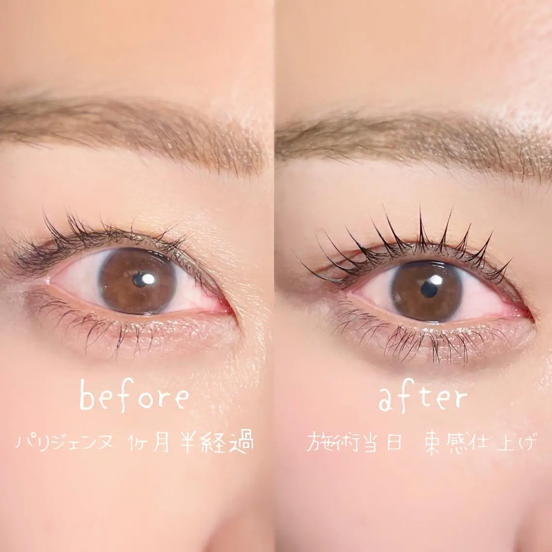 マツエク・マツパ パリジェンヌラッシュリフト 🌷private salon Linkのマツエク・マツパデザイン