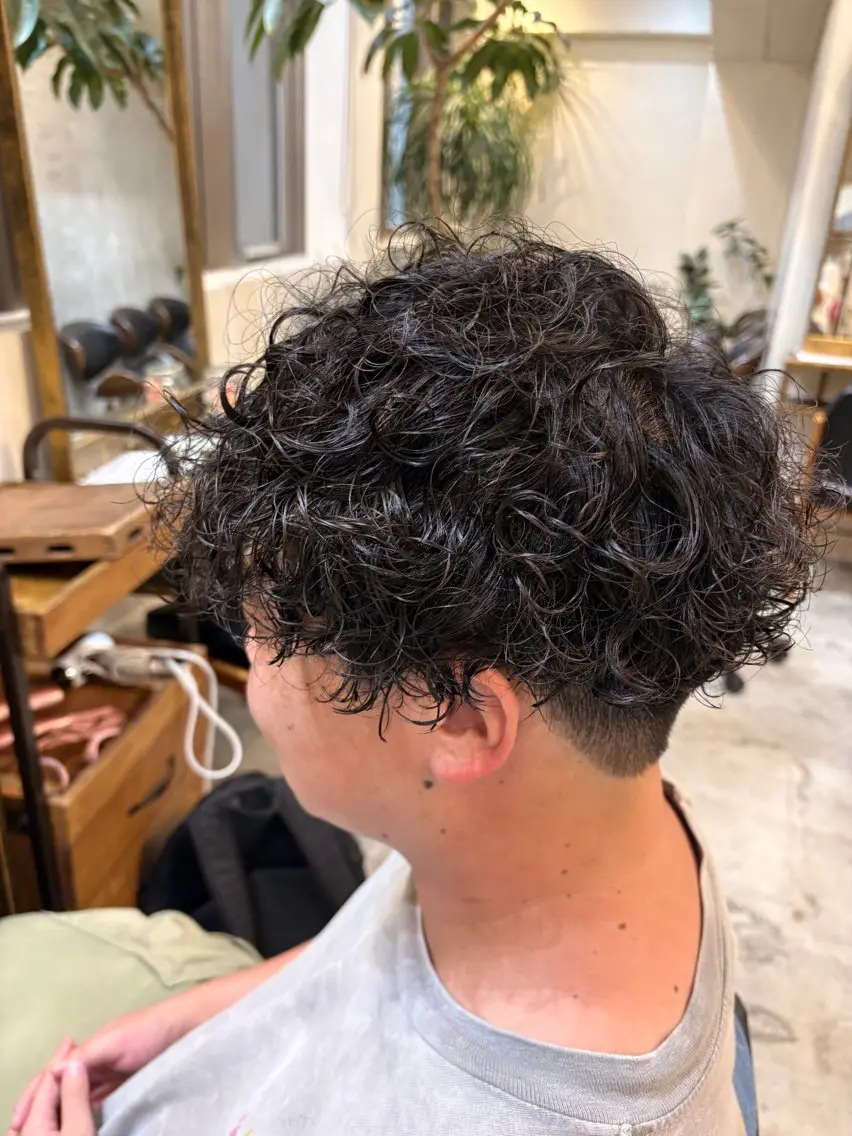パーマ メンズ メンズパーマ プードルパーマ プードルパーマ カット パーマ 🌻miyu🌻/ 縮毛矯正/ワンカラーのヘアスタイル