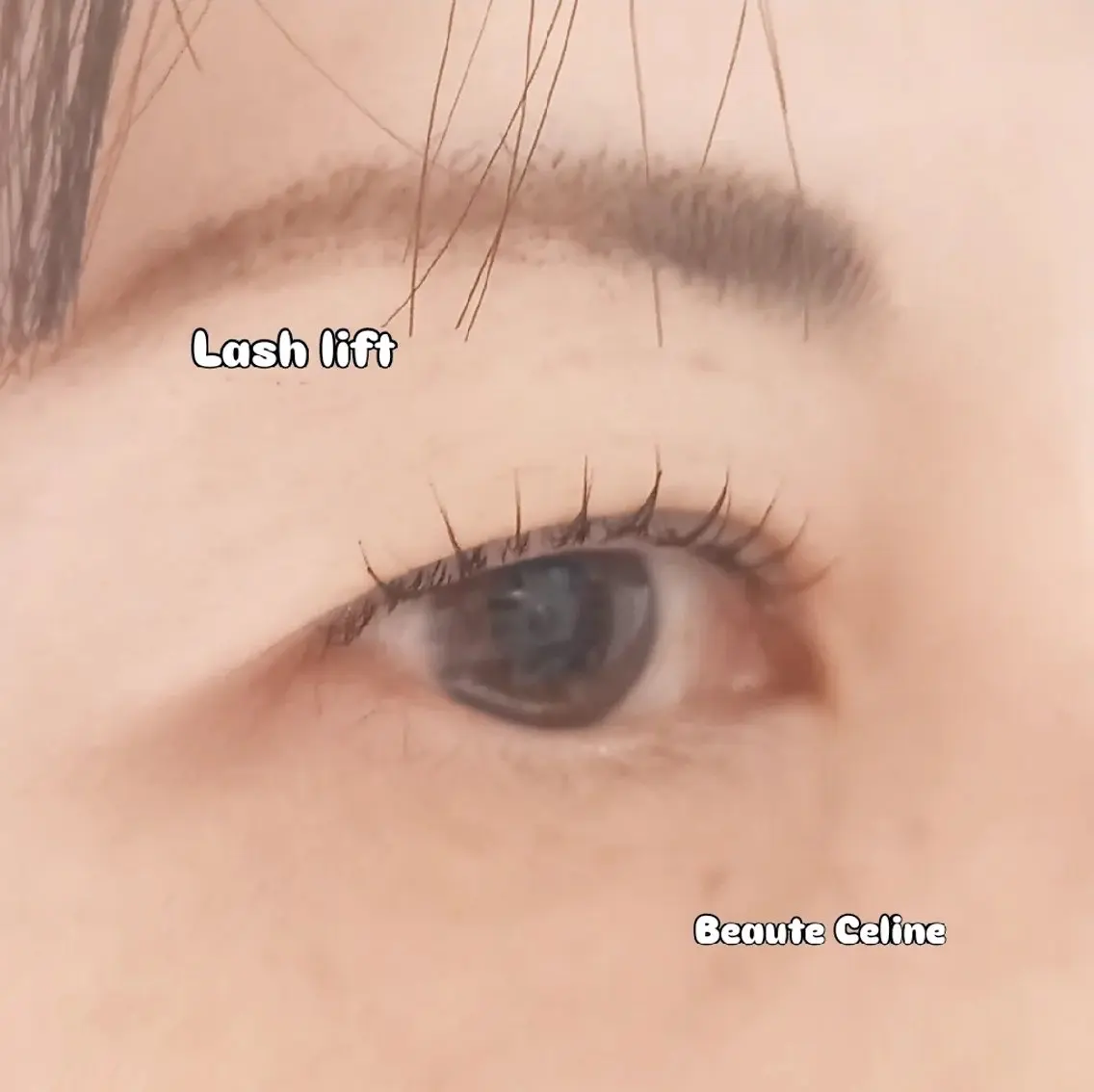 マツエク・マツパ 束感まつ毛 マツパ LED✨beaute Celine🌛🌹のマツエク・マツパデザイン