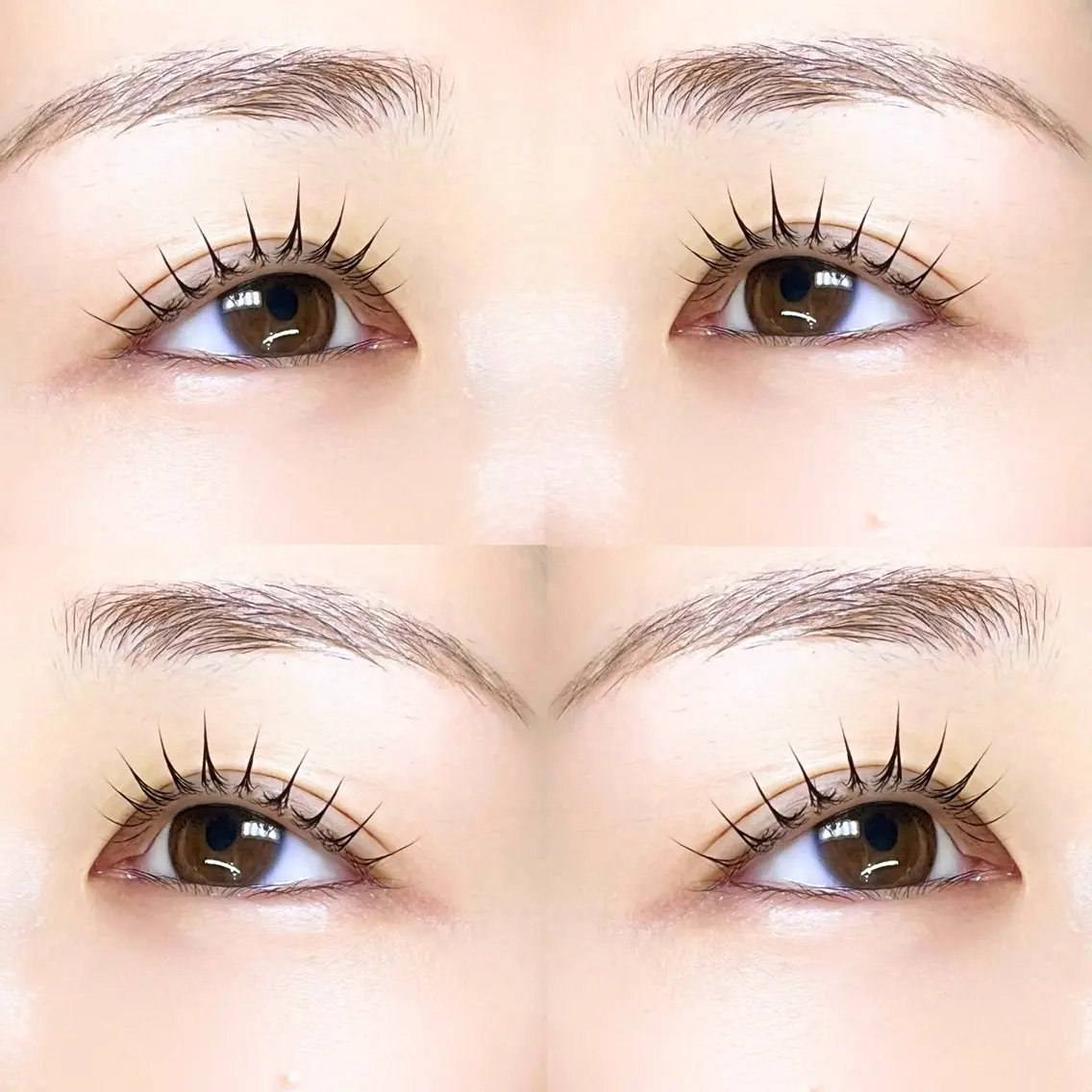 🌱眉Wax➕🌷ラッシュリフトorパリジェンヌ+🫧4種類トリートメント🫧（アイシャンプーを付ける場合は+¥500）の写真