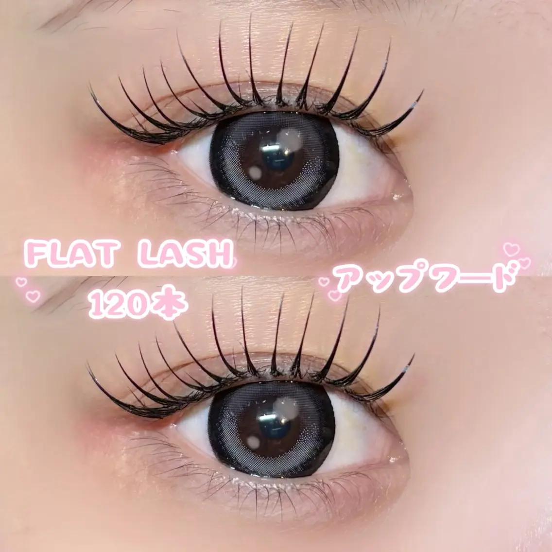 【60分⏱】フラットラッシュ120本 🐾の写真