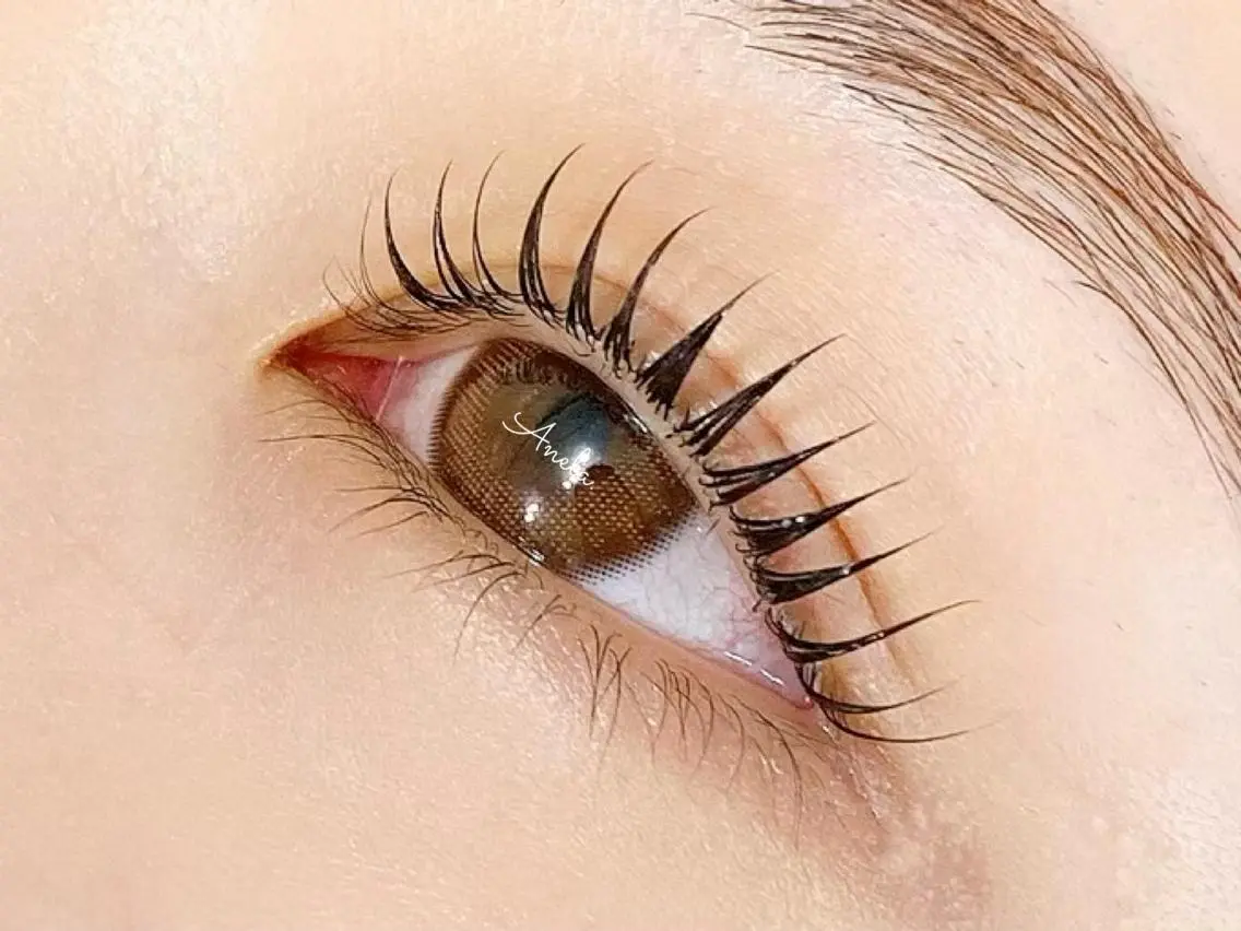 🍀5月限定🍀【当店1番人気】ラッシュリフト👀¥4700の写真