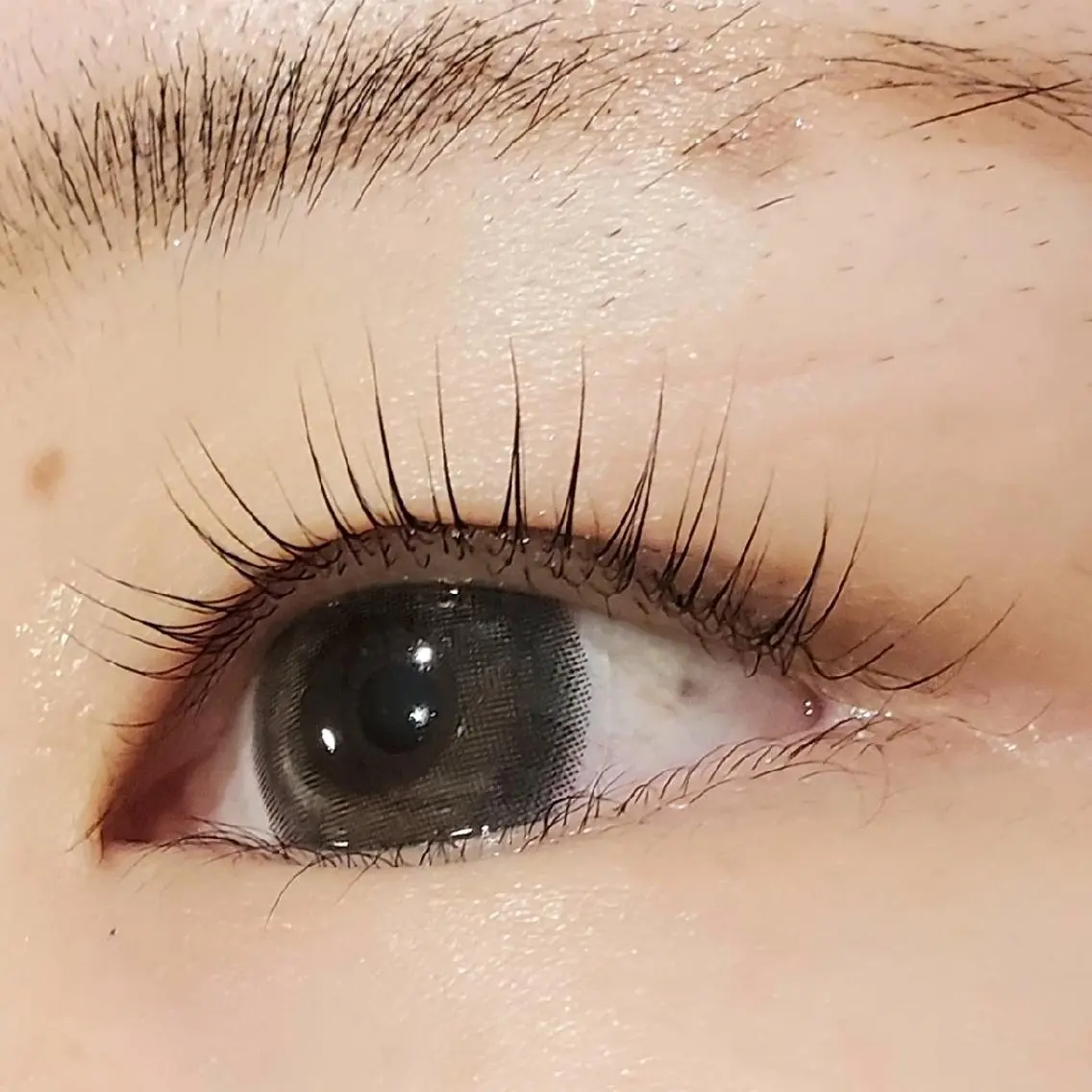 💎人気ℕ𝕆.1💎ラッシュリフトの写真