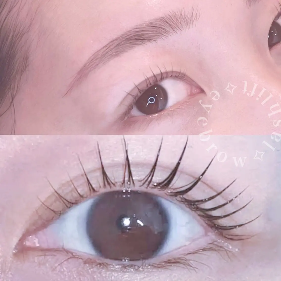 ラッシュリフト+WAX脱毛(メイクレクチャー付き)の写真