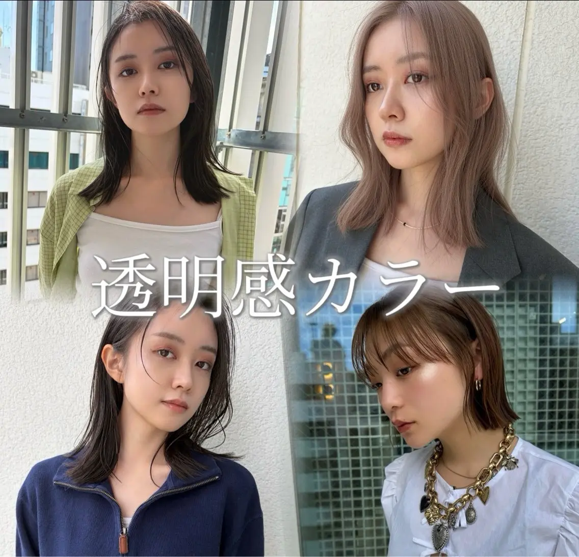🤍艶感白髪染めカラー🤍肩上スタイル限定✂️✨気になる白髪を自然にカバー✨お客様に合ったカラーをご提案します🪄💕の写真