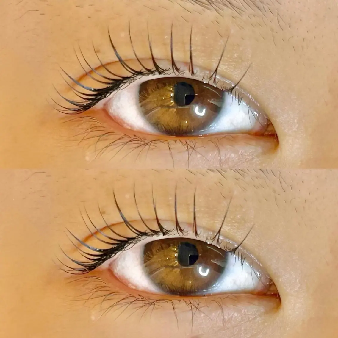 マツエク・マツパ Roy's lash ♡　AYAのマツエク・マツパデザイン