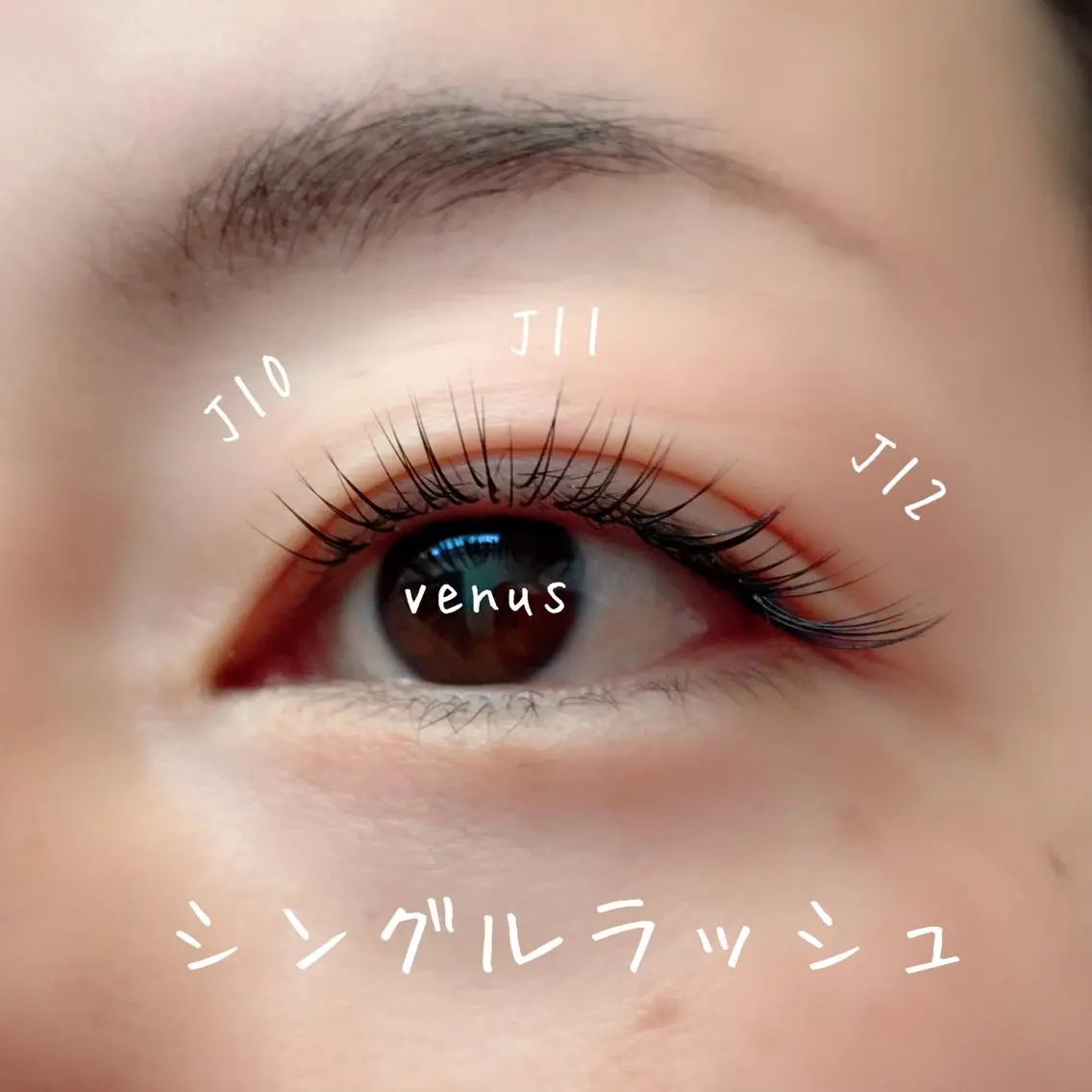 マツエク・マツパ eyelash catwinkのマツエク・マツパデザイン